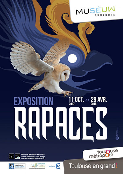 Exposition « RAPACES » au MUSEUM d’Histoire Naturelle de Toulouse